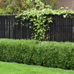 chain fence privacy ideas