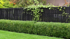 chain fence privacy ideas