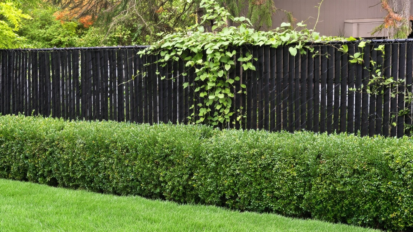 chain fence privacy ideas