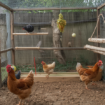 DIY Chicken Enrichment Ideas for Backyard Flocks