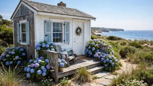 coastal cottage hydrangeas