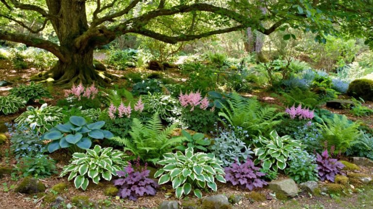 9 Shade Perennials Under Tree Ideas for Beautiful Woodland Gardens